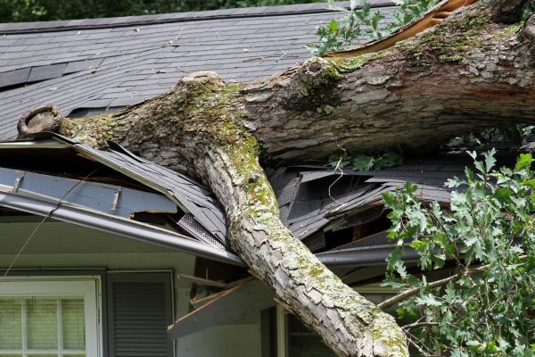 Cost of Storm Remediation in Reston