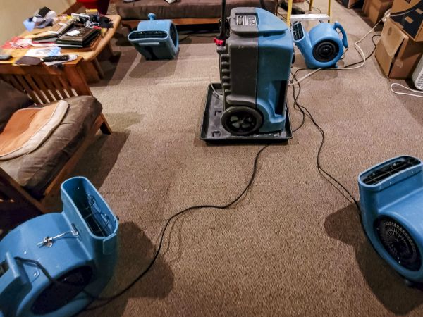 Cost of Flood Damage Recovery in Reston