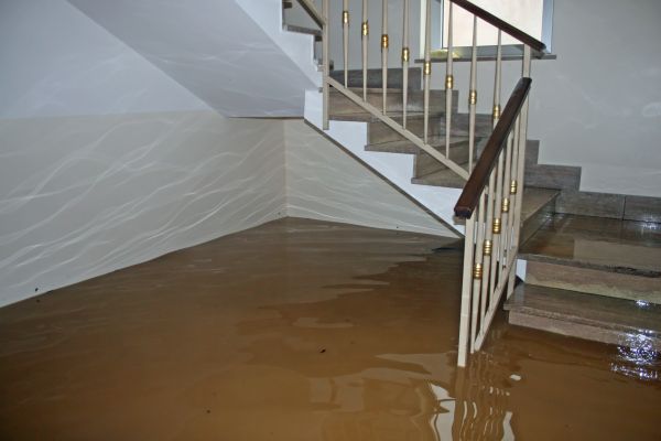 Storm Damage Restoration in Reston