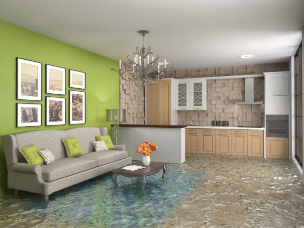 Wet Carpet Drying in Reston