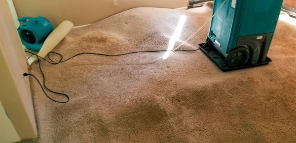 Flood Damage Cleanup in Reston