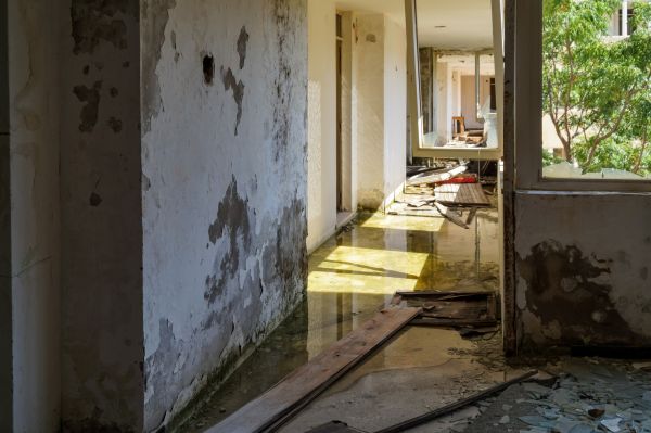 Water Removal Service in Reston