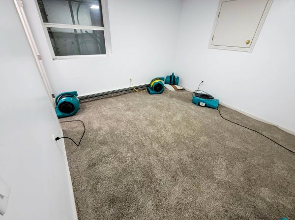 Flood Restoration Service in Reston