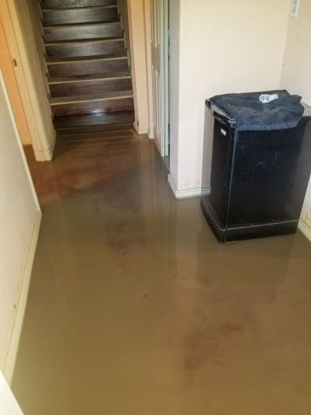 Emergency Water Removal in Reston