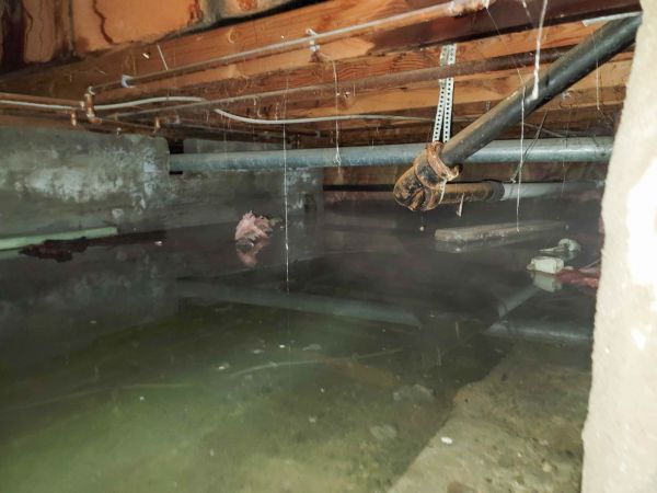 Cost of Crawl Space Drying in Reston