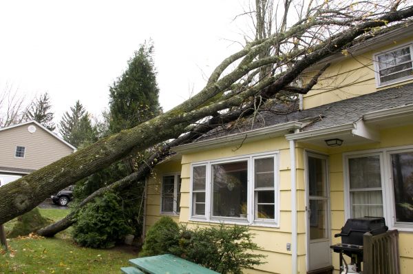 Hurricane Damage Repair in Reston