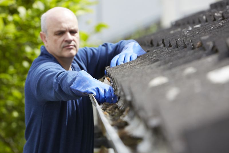Gutter Cleaning and Repair